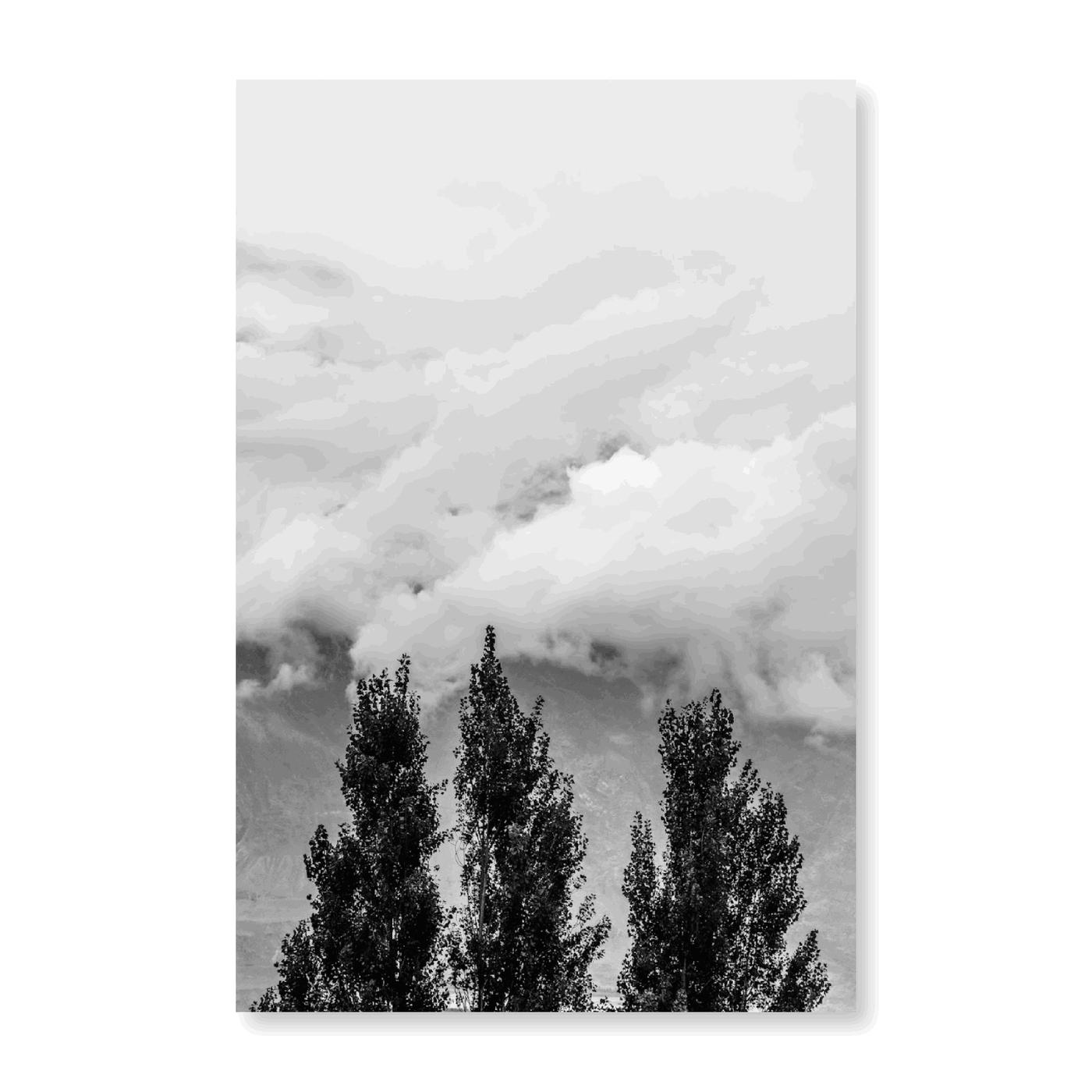 Trees In Karakoram Mountains - Jasper & Jute