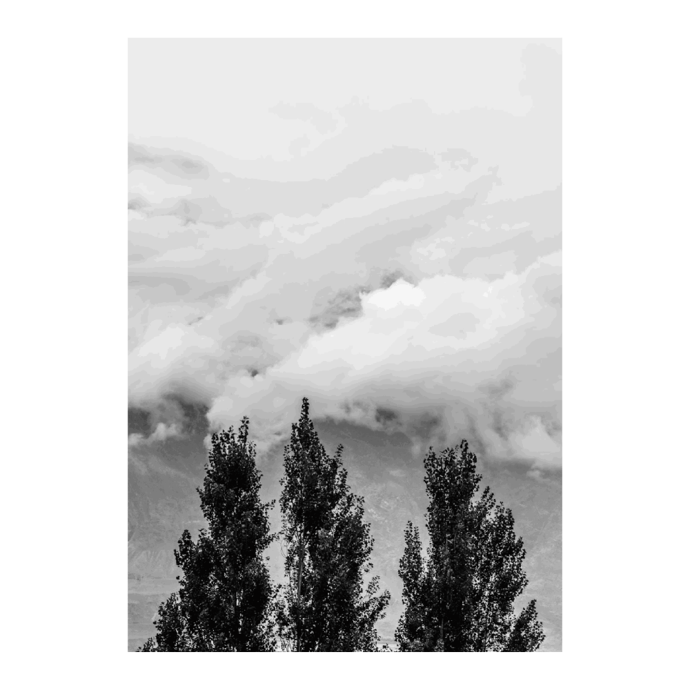 Trees In Karakoram Mountains