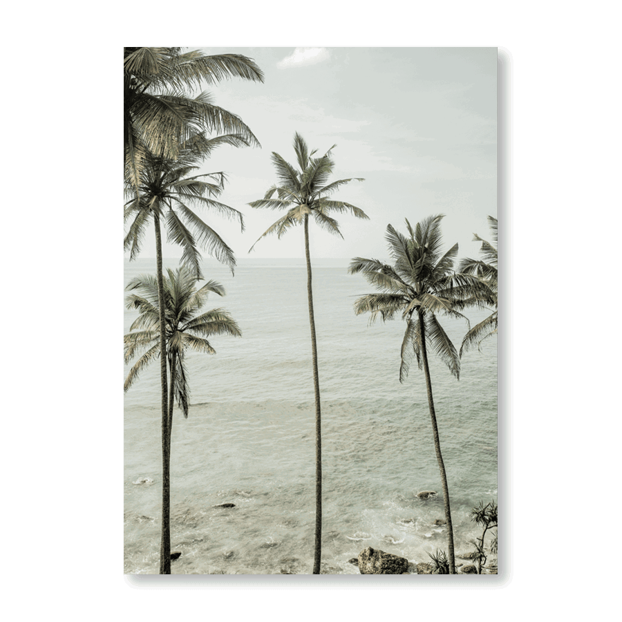 Tropical Dreams - Jasper & Jute