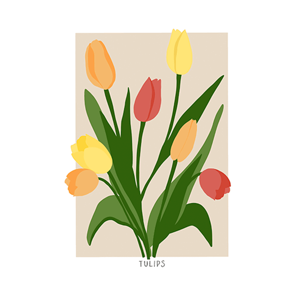 Tulips
