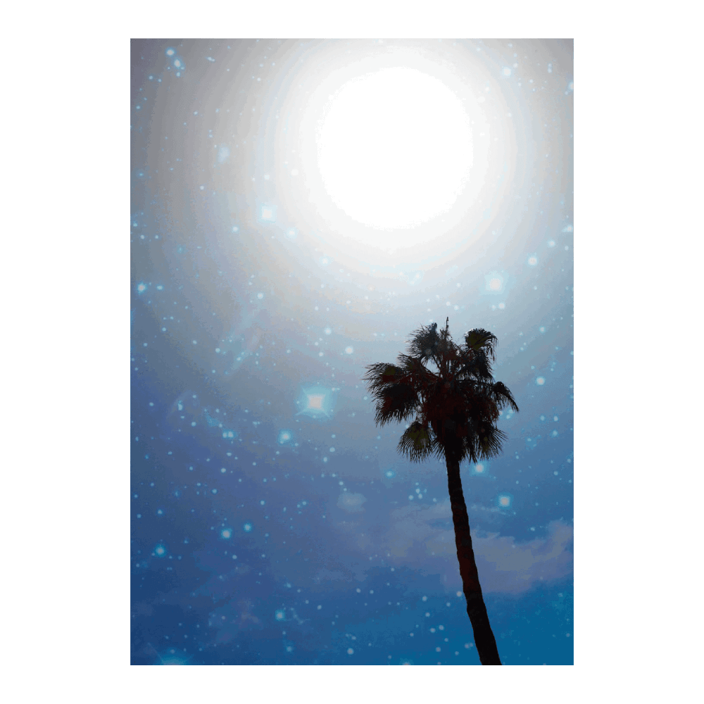 Urban Palms