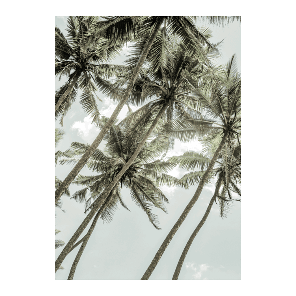 Wild Love