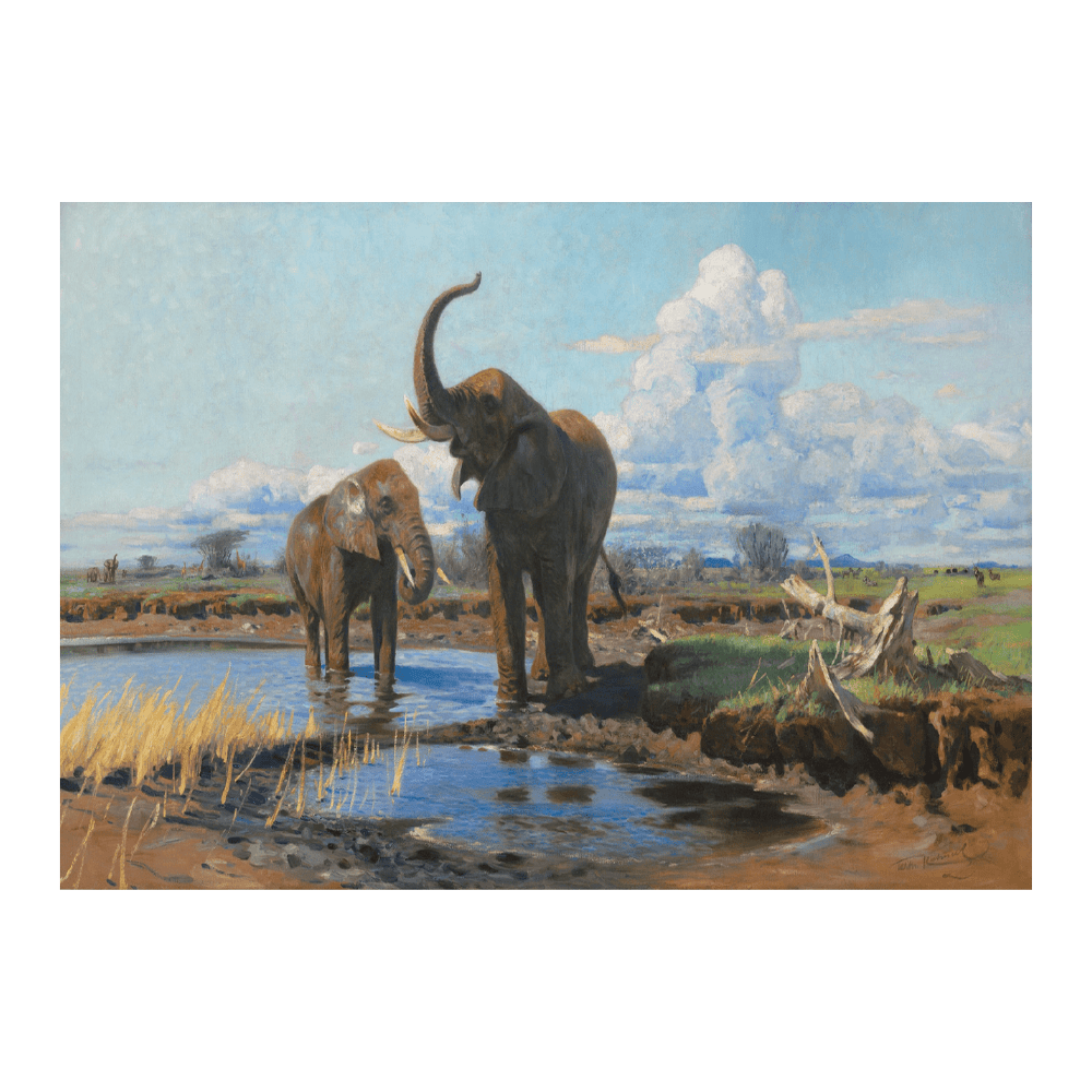 Elephants At A Waterhole