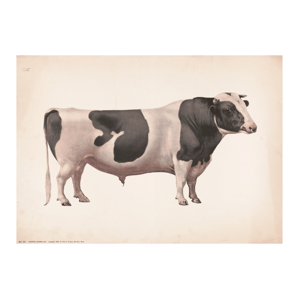 Colantha Johana Lad (1909)