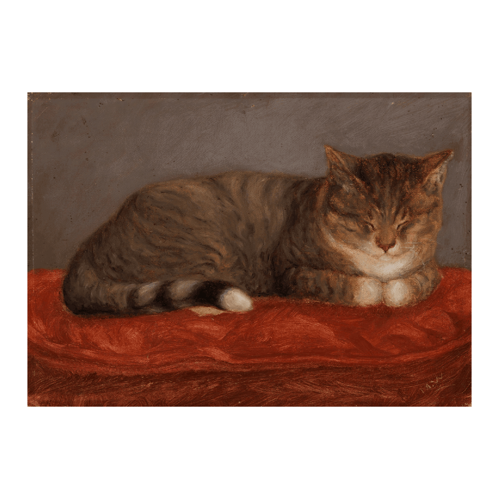 Lying Cat Mosse