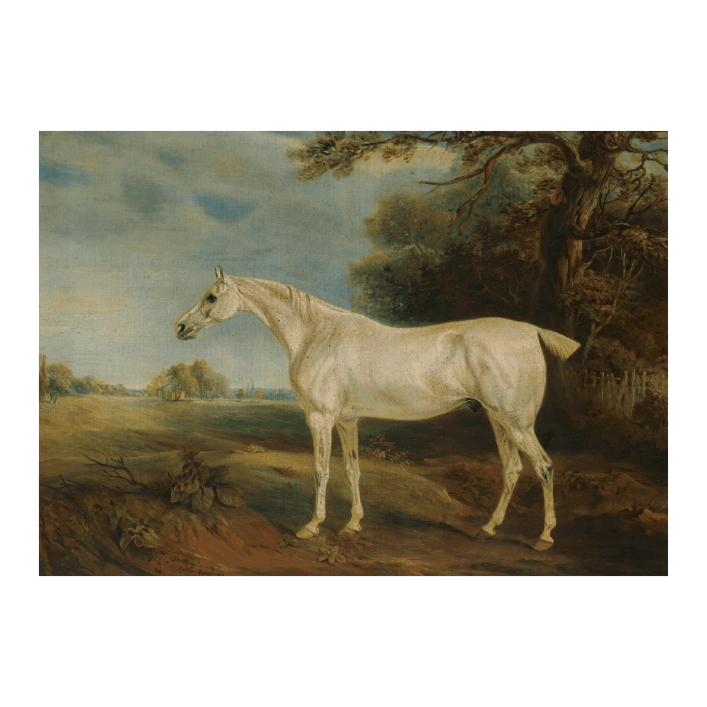 The Marquess Of Huntly's Fleabitten Grey Hunter (1821)