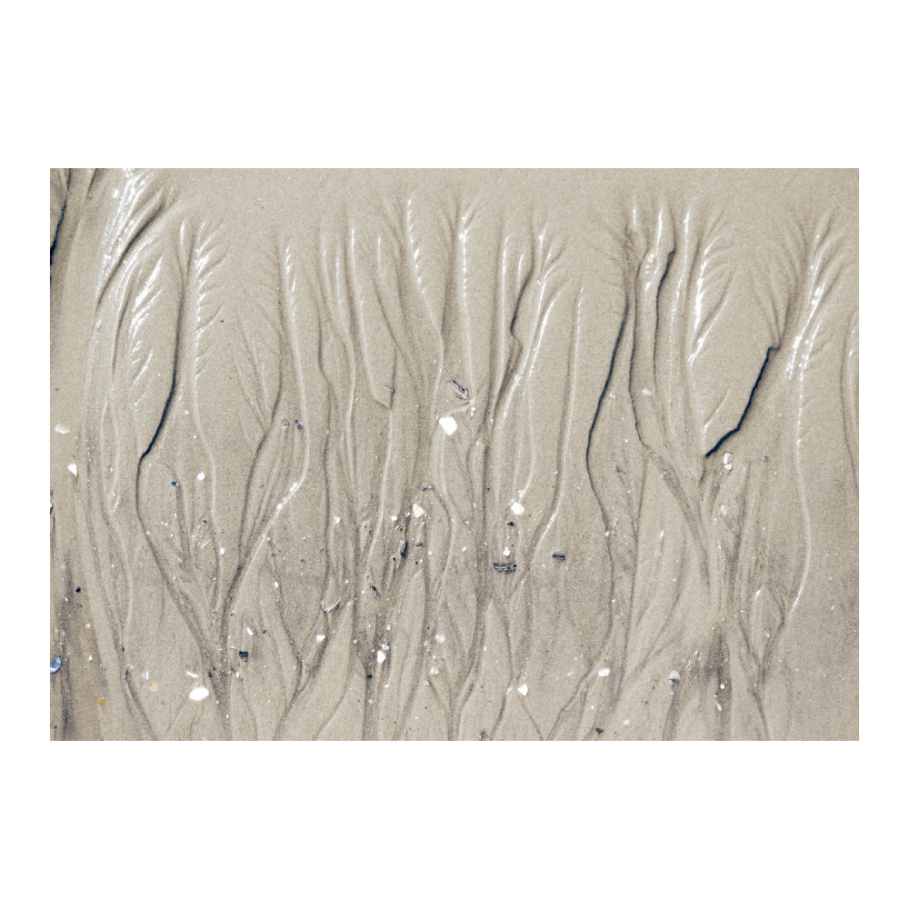 Veins | Limited Edition