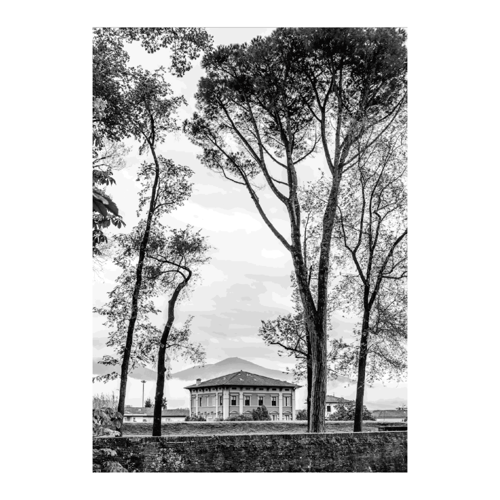 Villa In Lucca