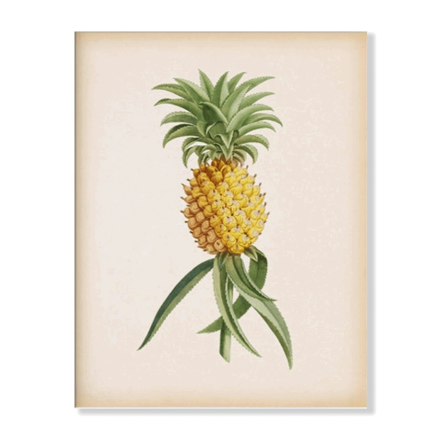 Vintage Fruit Set II - Jasper & Jute
