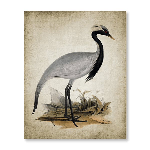 Vintage Heron III - Jasper & Jute