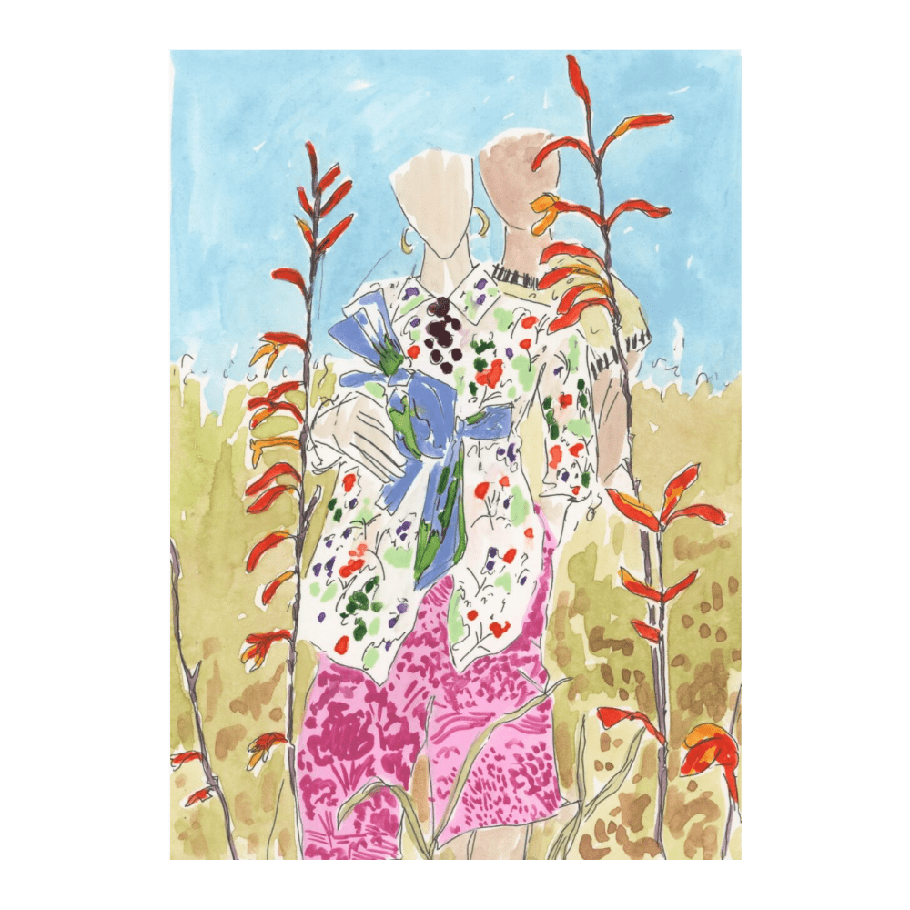 ‍Watsonia's (100% off)