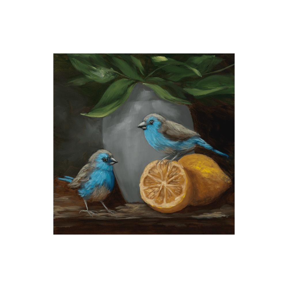 Waxbills At The Wedge