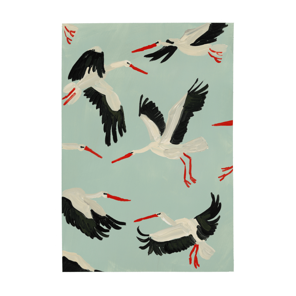 White Storks In Flight