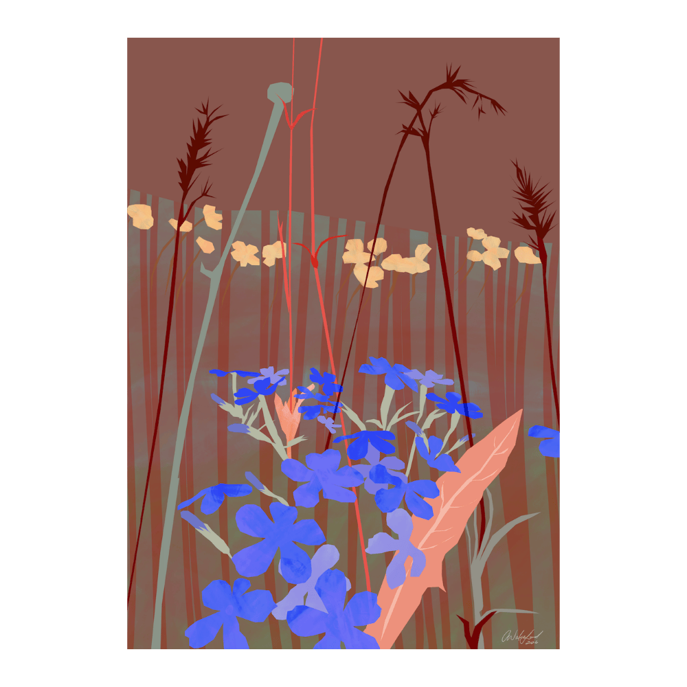 ‍Wild Provanence (100% off)