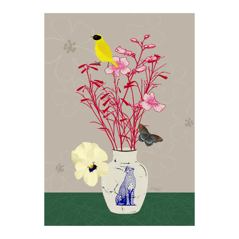‍Wild Still (100% off)