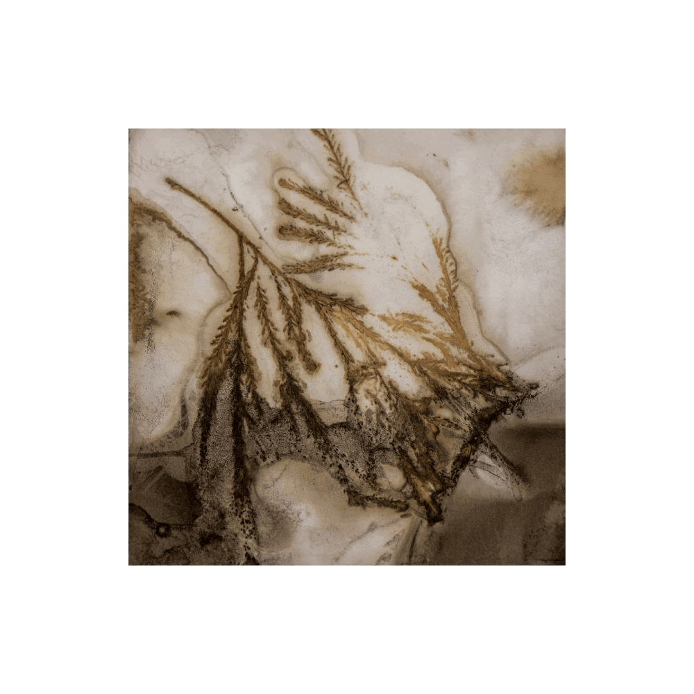 Wild Frequencies III