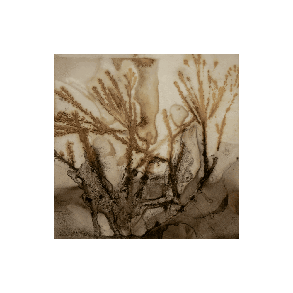 Wild Frequencies I