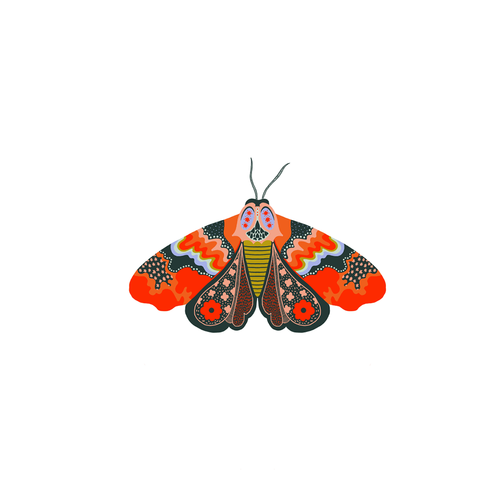 Zephyr