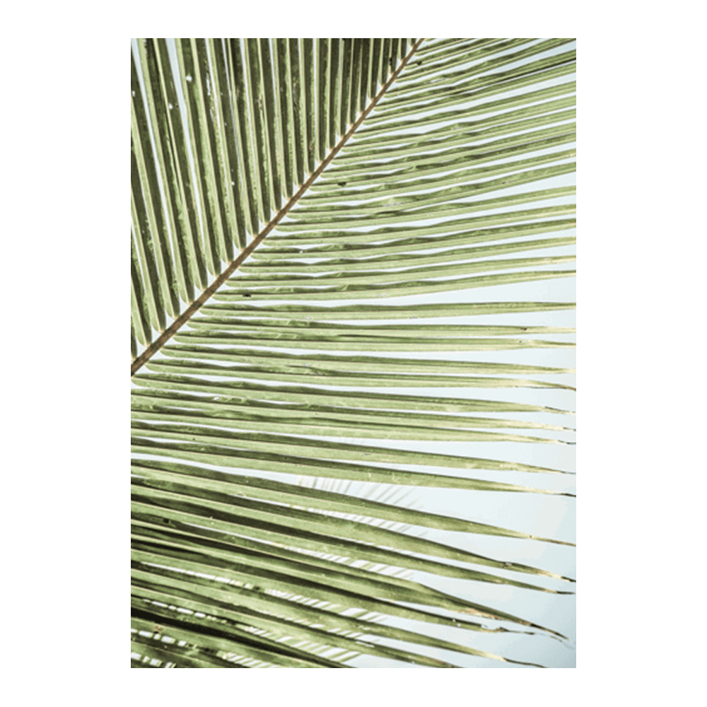 Zig Zag
