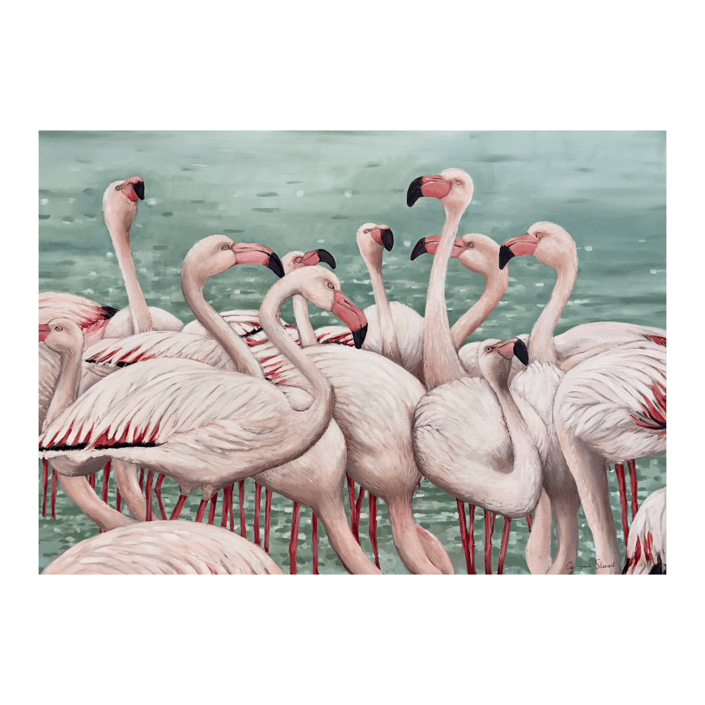 Flamingos