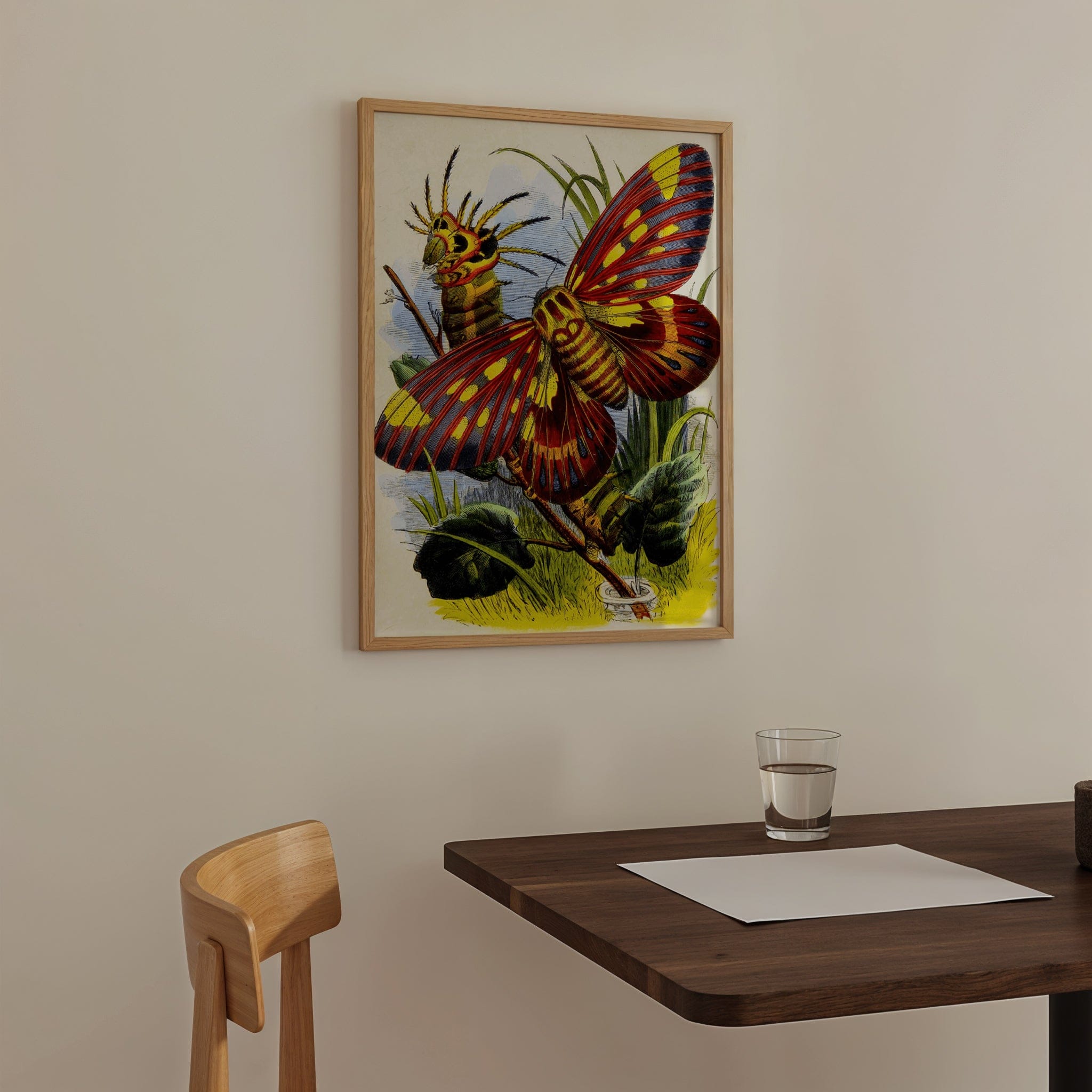 The Butterfly Vivarium Or Insect Home PI XVII (1858)