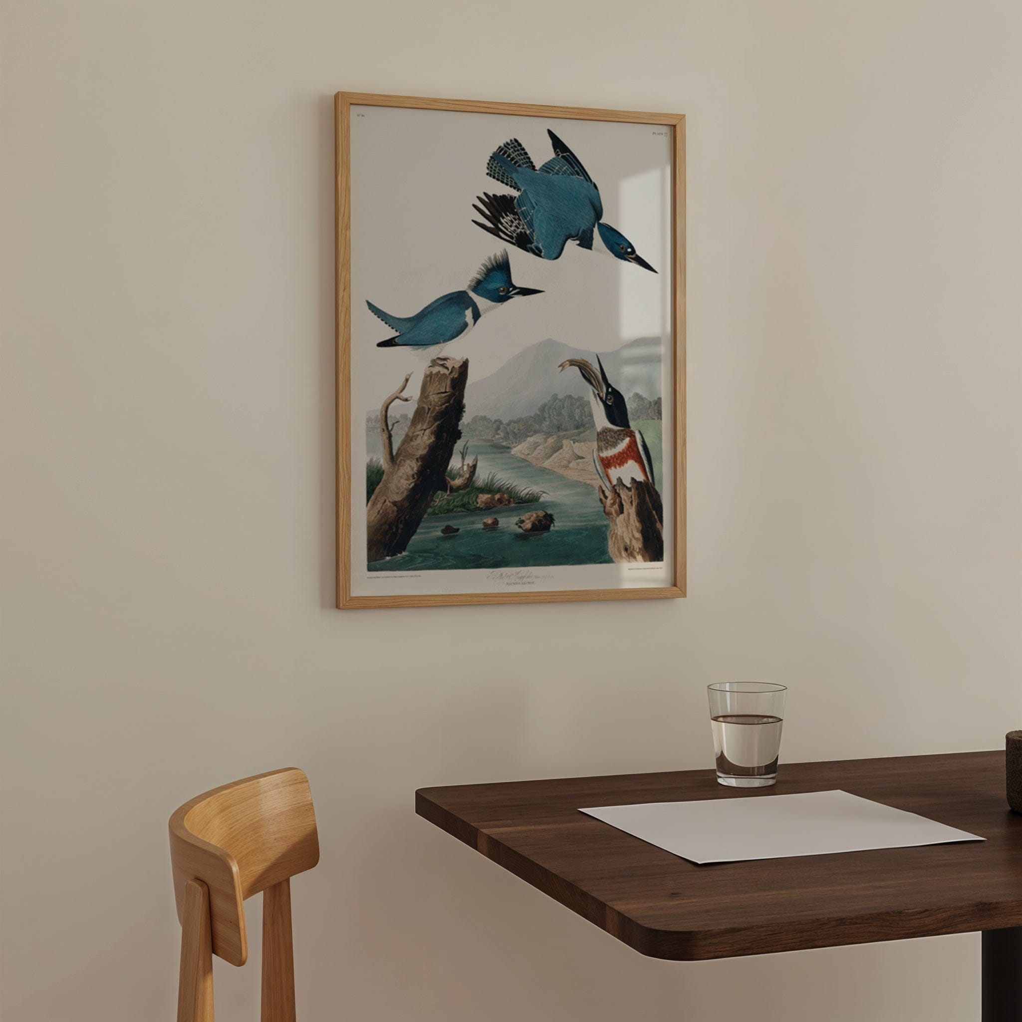 John James Audubon: "Belted Kingfisher"