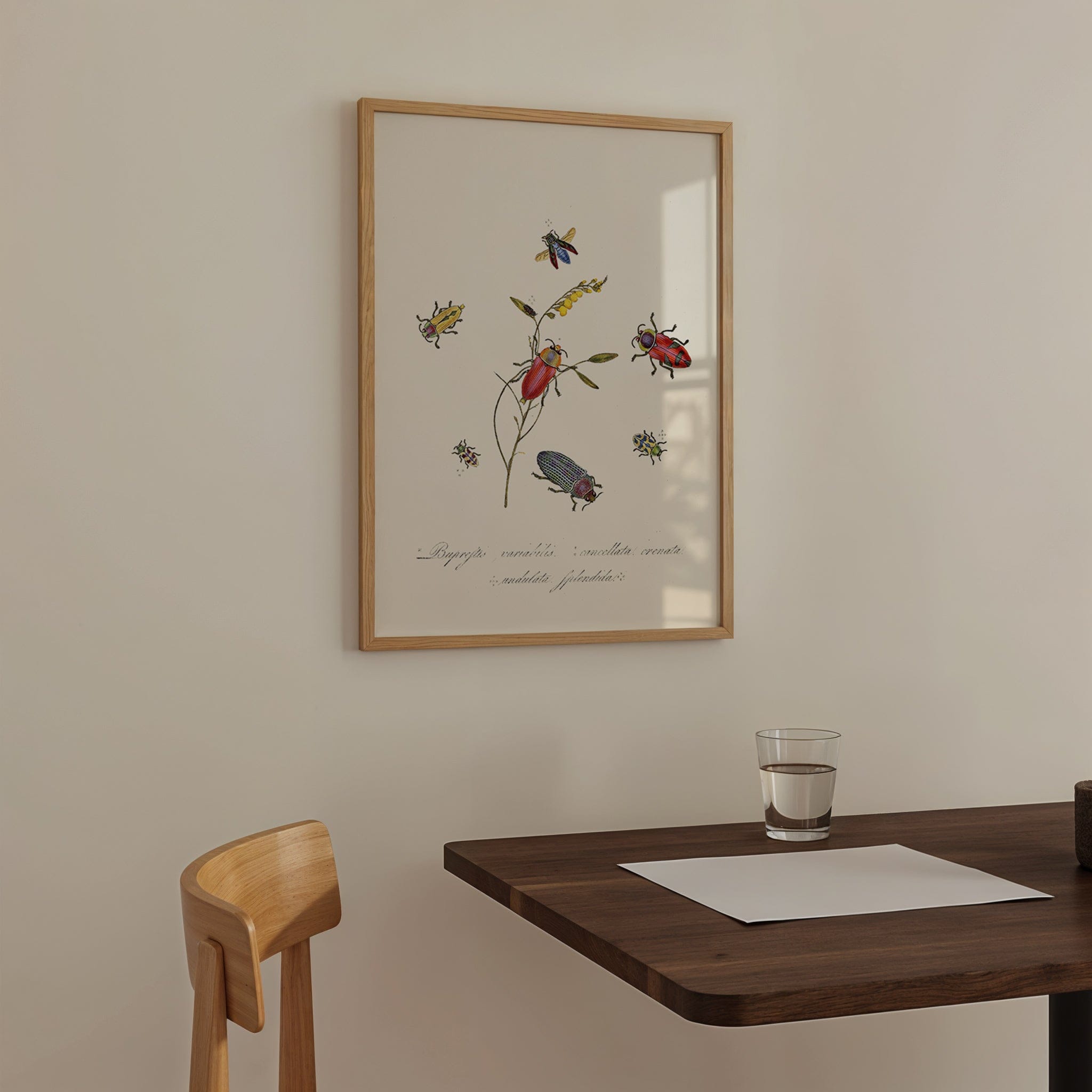 Entomology VI