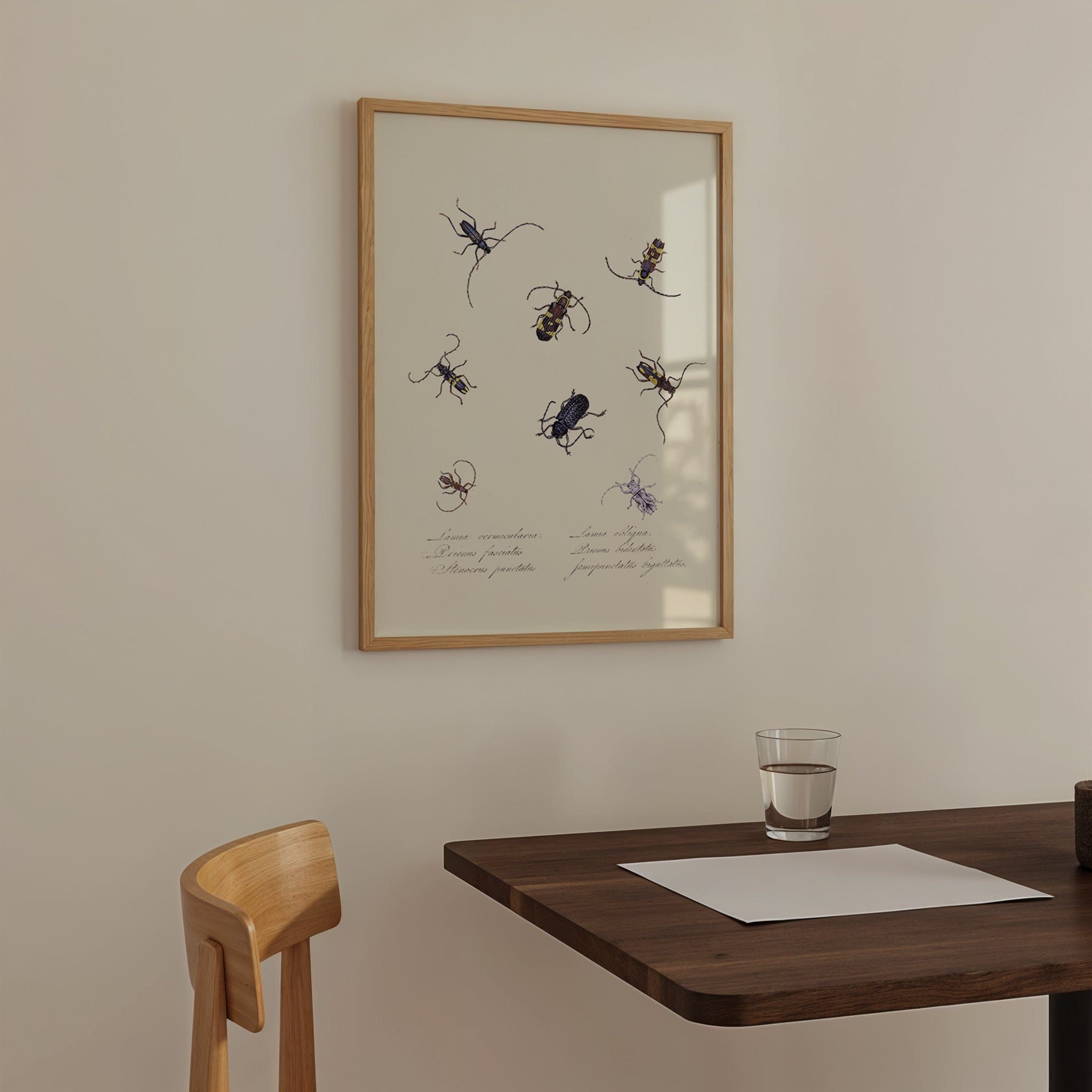 Entomology V