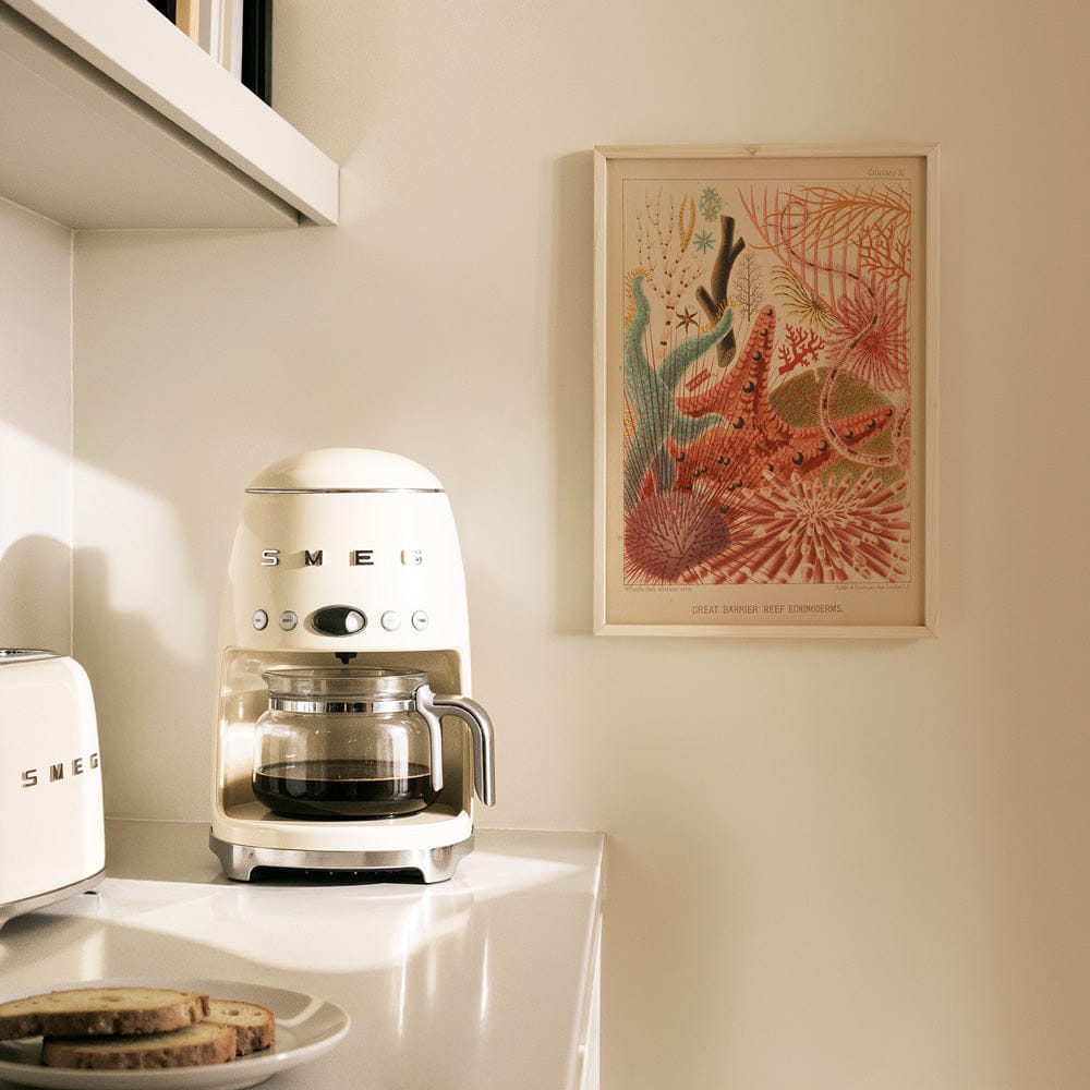 Great Barrier Reef Echinoderms (1893)