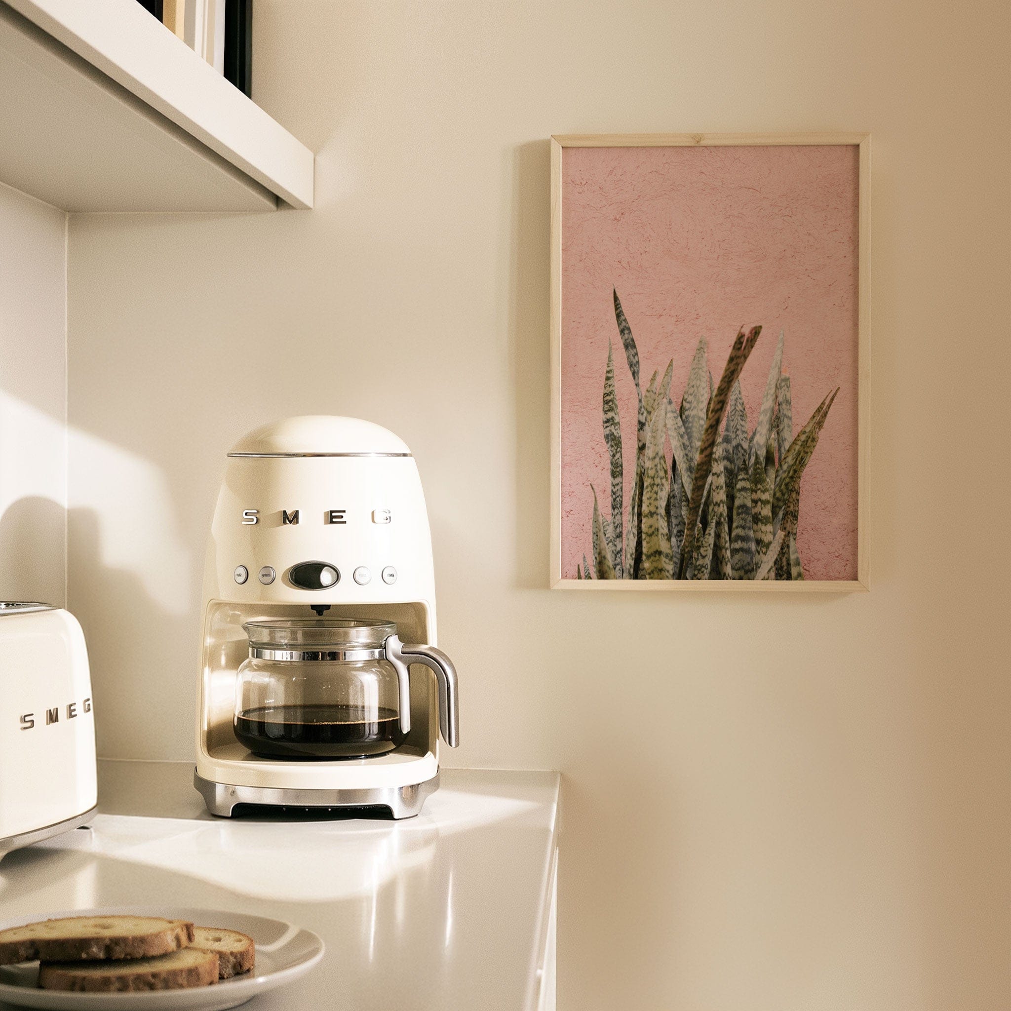 Botanical Scene in Marrakech