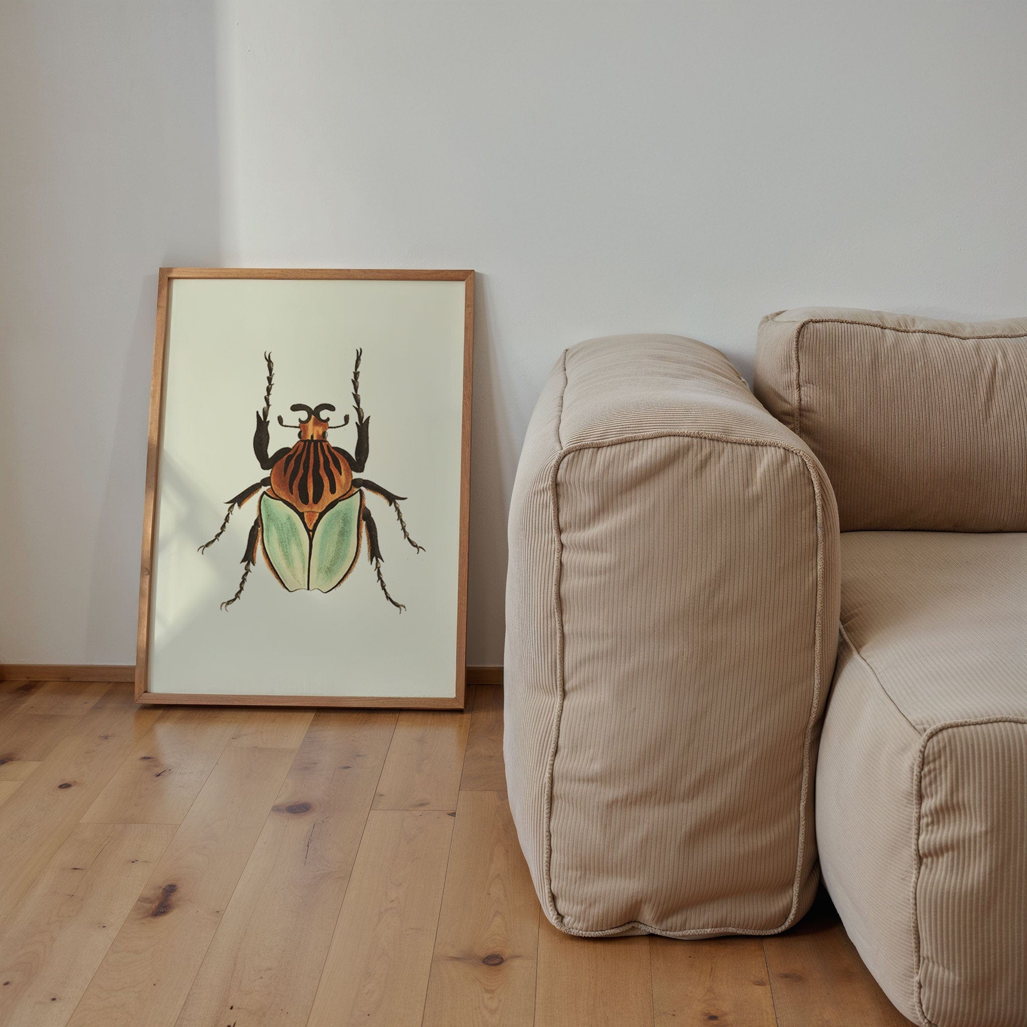 Cacique Beetle