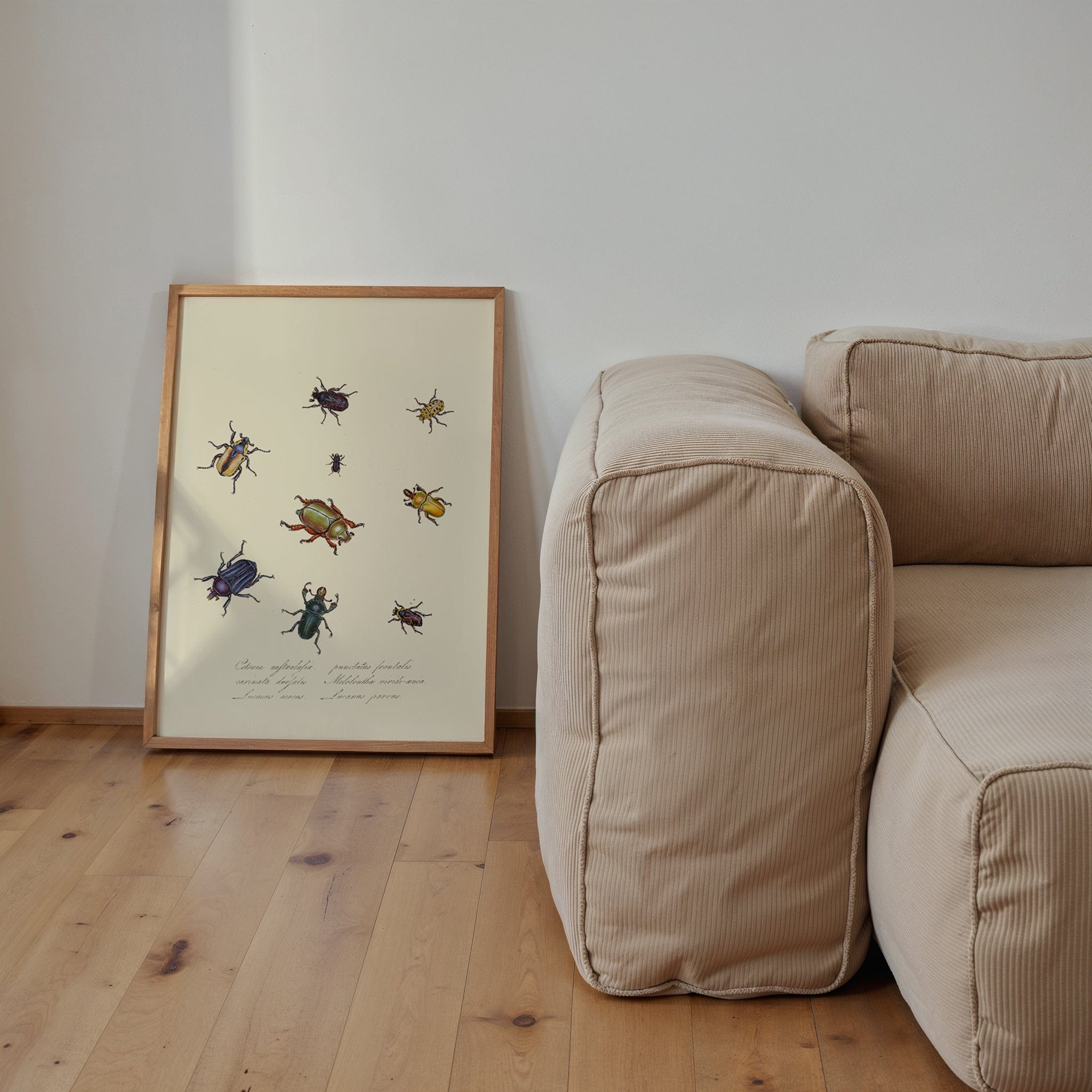 Entomology I