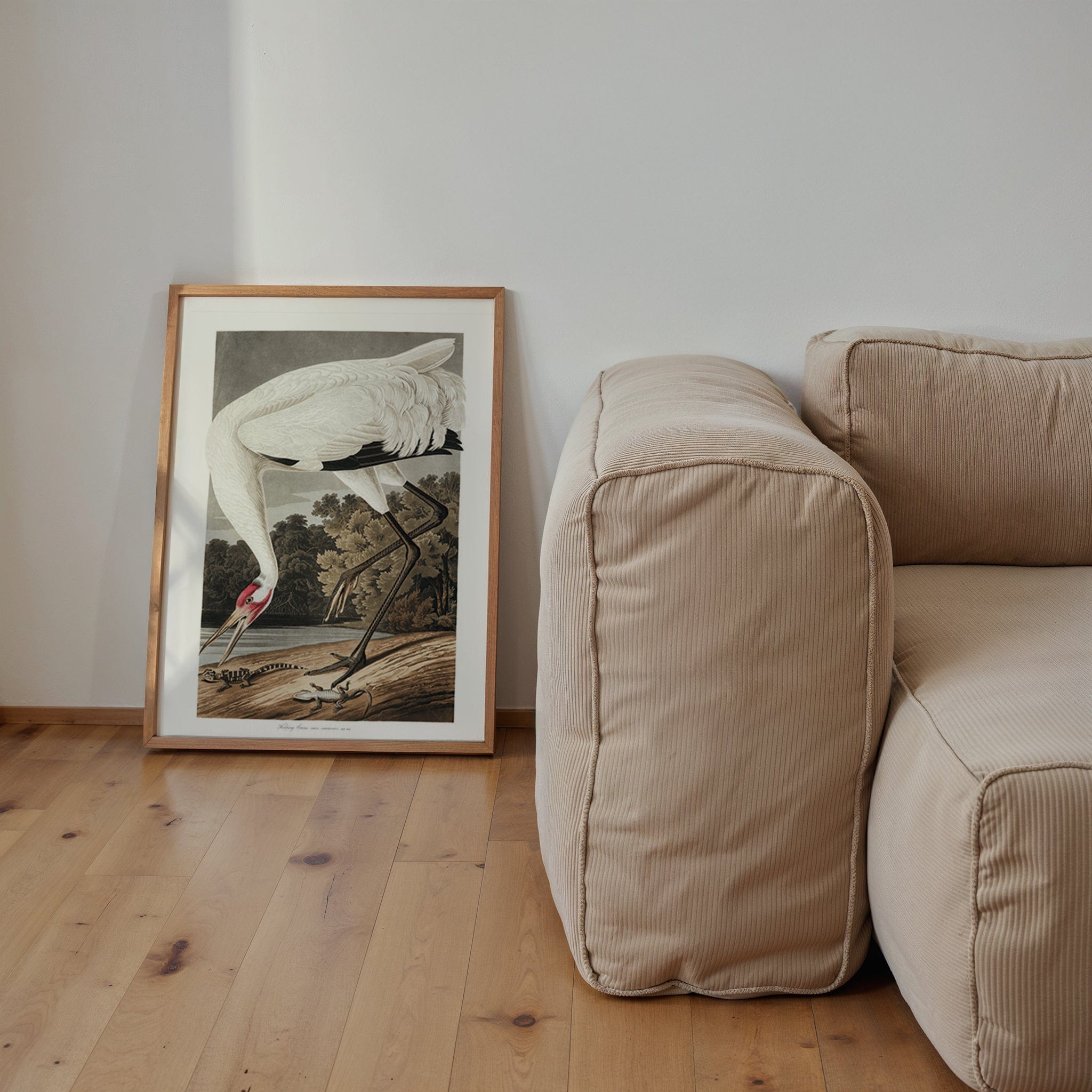 John James Audubon - "Hooping Crane"