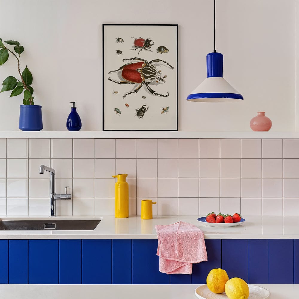 Dr. Sulzers Short History Of Insects PI I (1776)