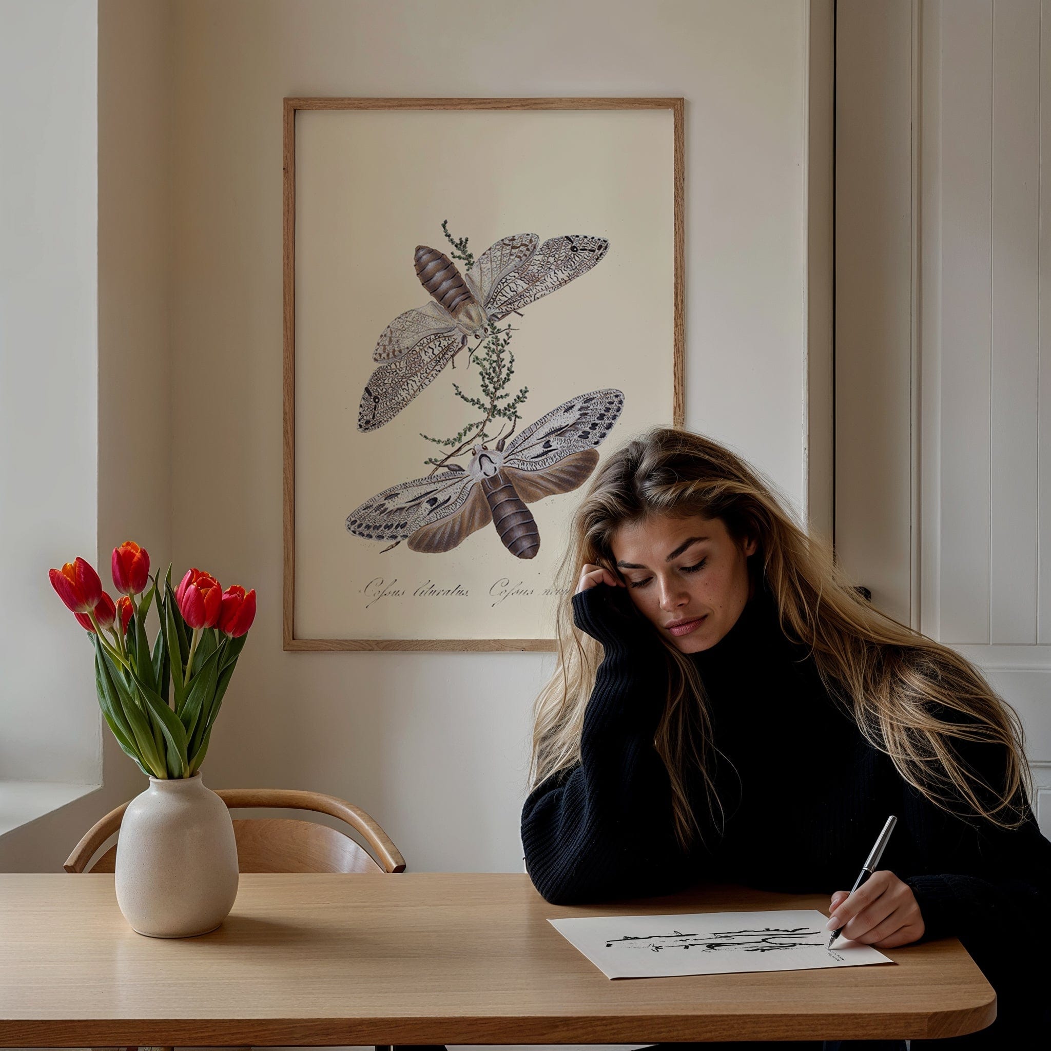 Entomology XXIV