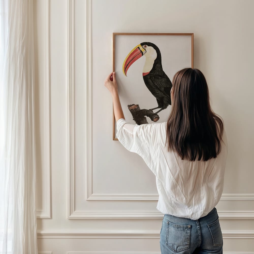 Toucan