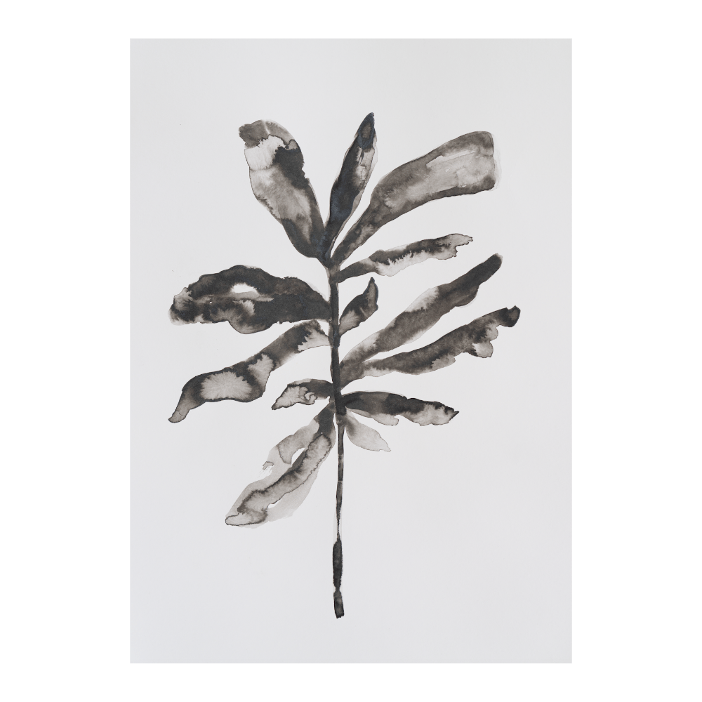 ‍Quiet Seasons I (100% off)