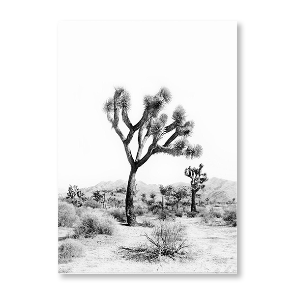 Joshua Tree I