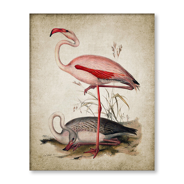 Vintage Flamingo I
