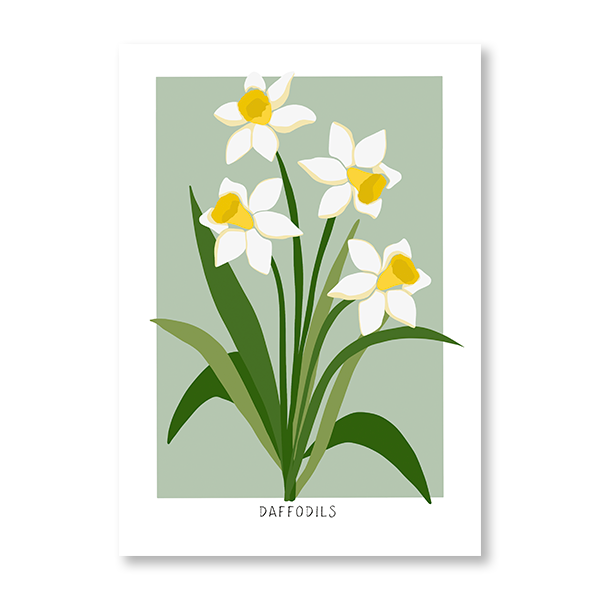 Daffodils