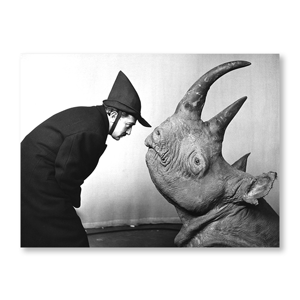 Salvador Dali Portrait with a Rhino