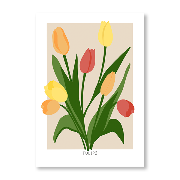 Tulips