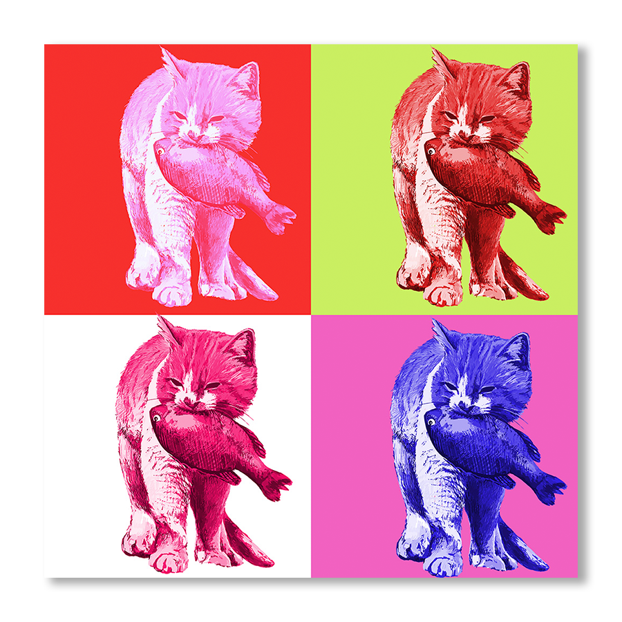 IV BRIGHT CATS