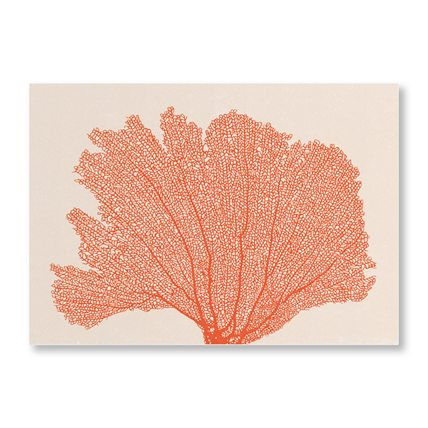 Orange Coral Art