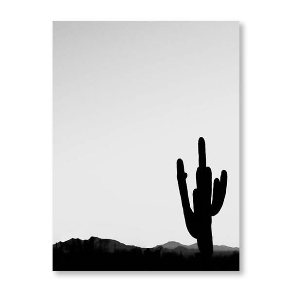 Cacti Silhouette