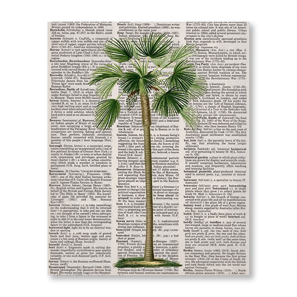 Newspaper Palm Tree