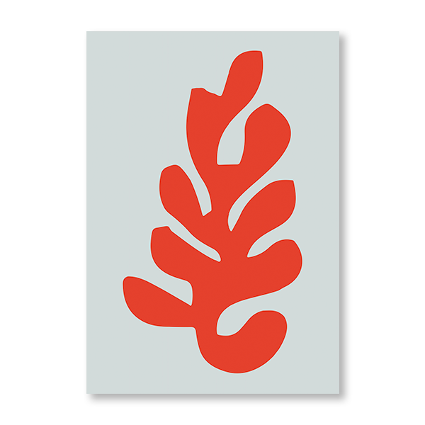 Matisse Red Coral - Jasper & Jute