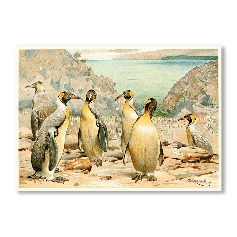 Giant Penguins