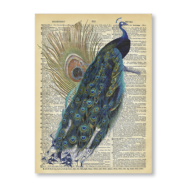 Newspaper Peacock