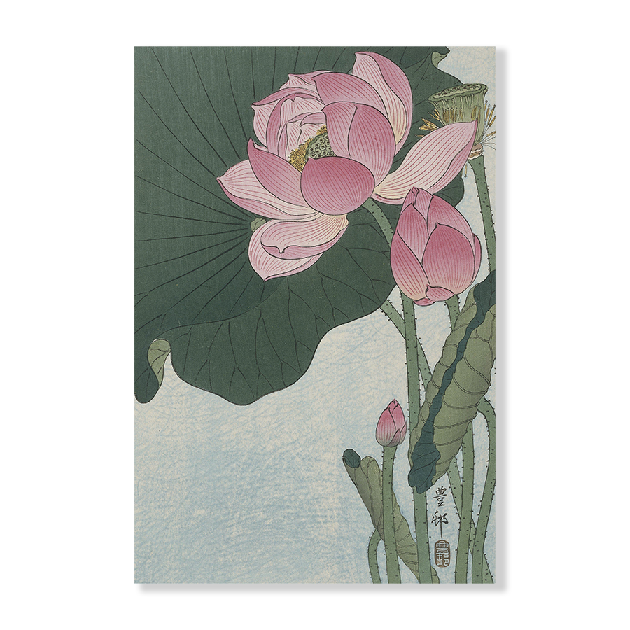 Ohara Koson: "Blooming Lotus Flowers"